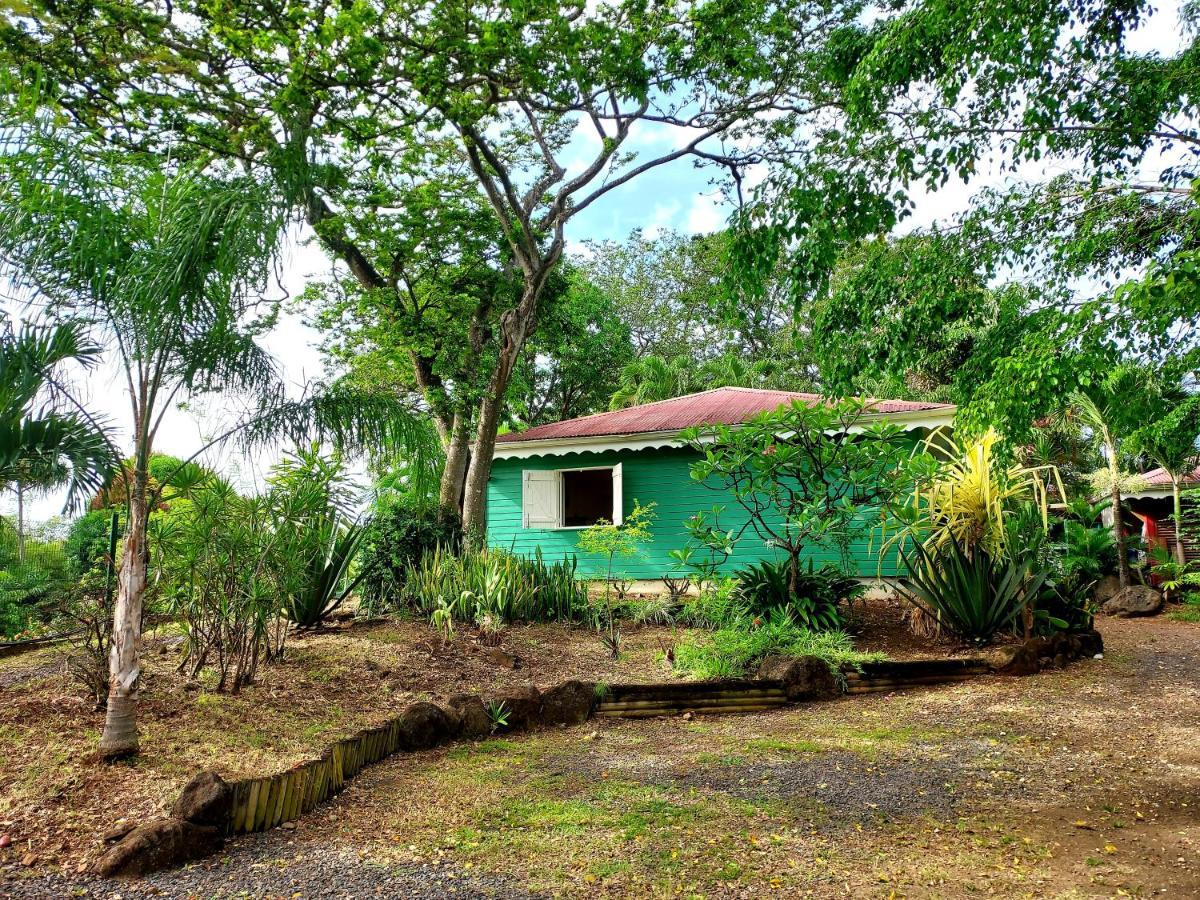 Bungalow Du Jardin Botanique De Deshaies Eksteriør billede
